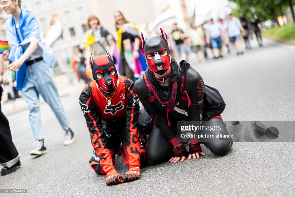 two people dressed as puppies in pup hoods down on all fours in public